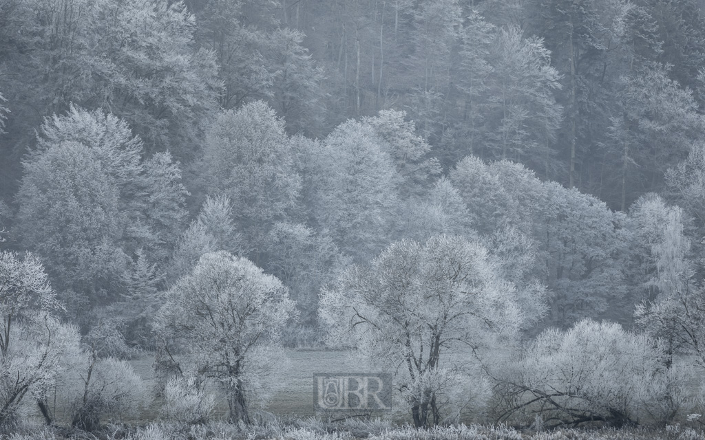 200 mm  1/500 Sek. bei f / 2,8