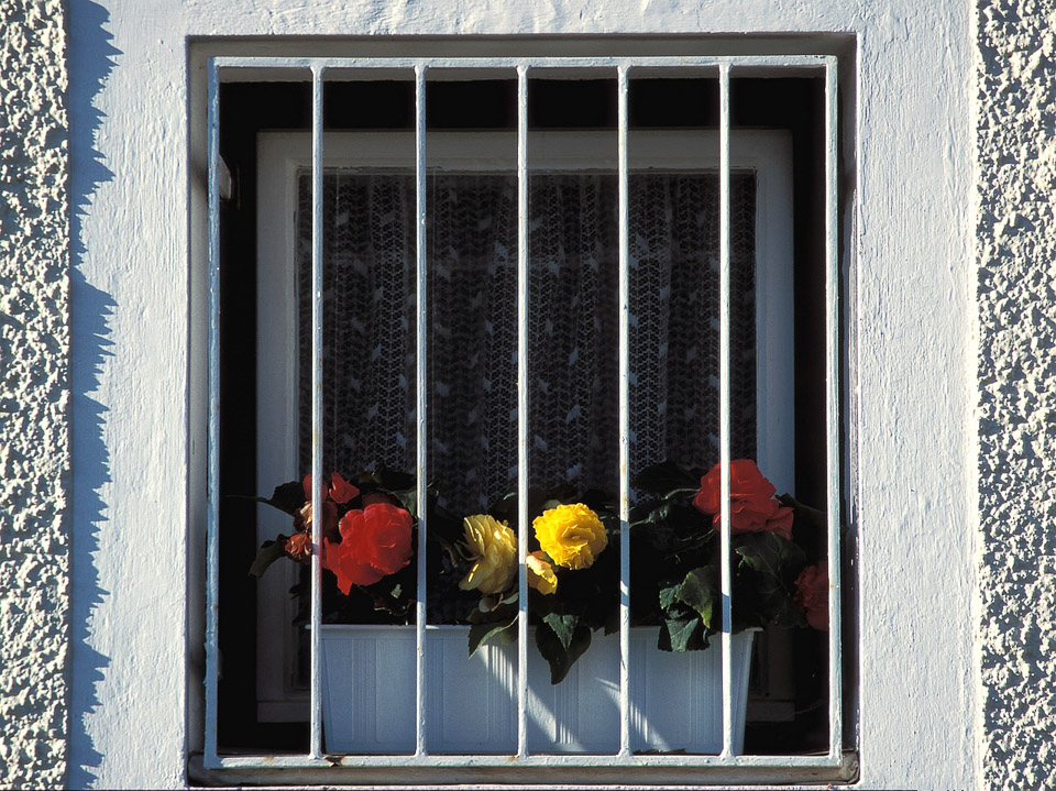 fenster_mit_blumen