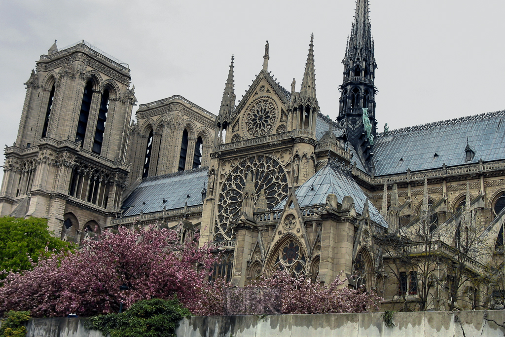 notre_dame_03