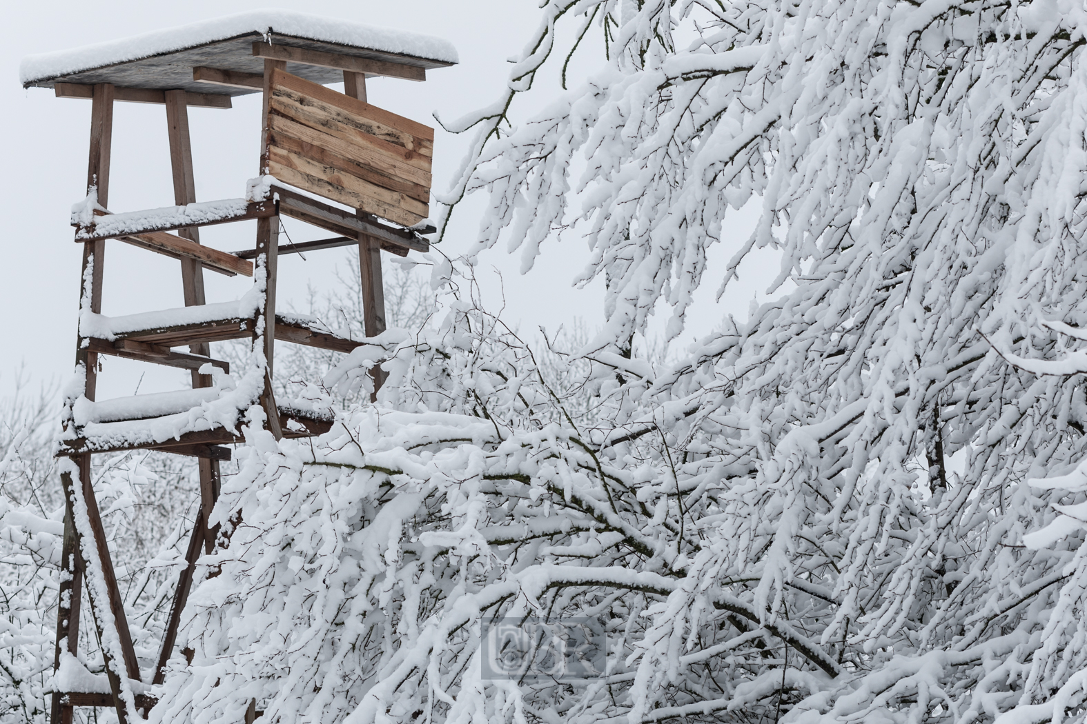 hochsitz_im_winterkleid