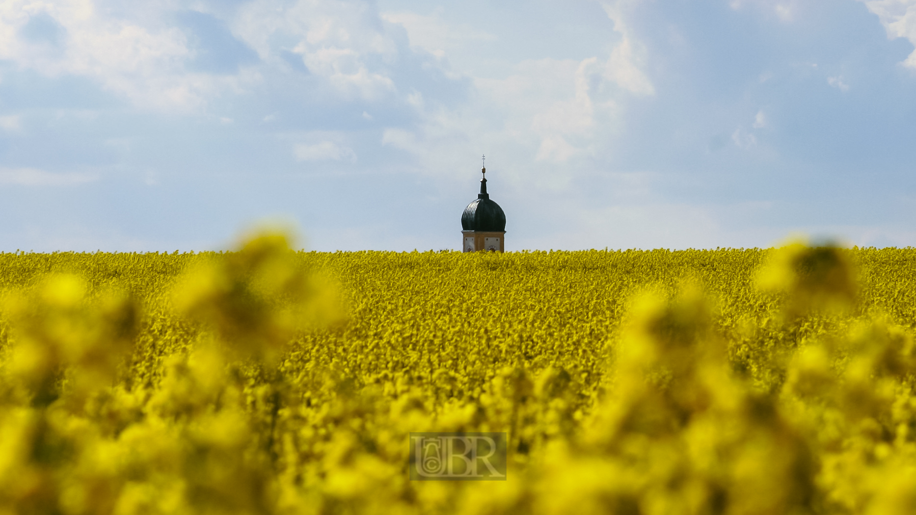 kirchturm_hinter_rapsfeld_02