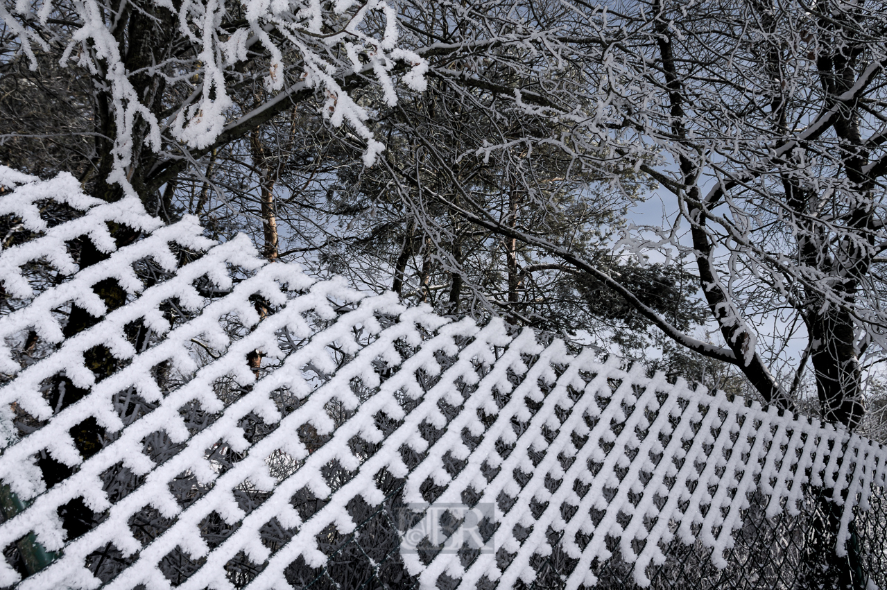 Bei Schnee 'verwandeln' sich die Zäune