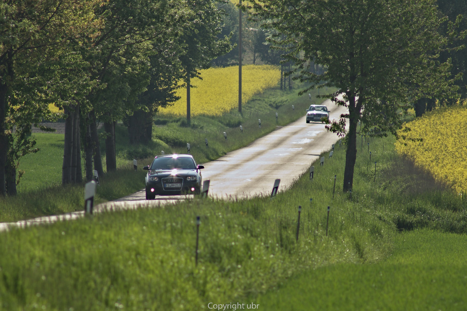 autos_gegenlicht