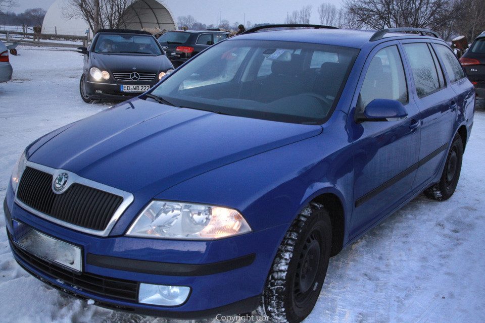 skoda_octavia_blau_1751