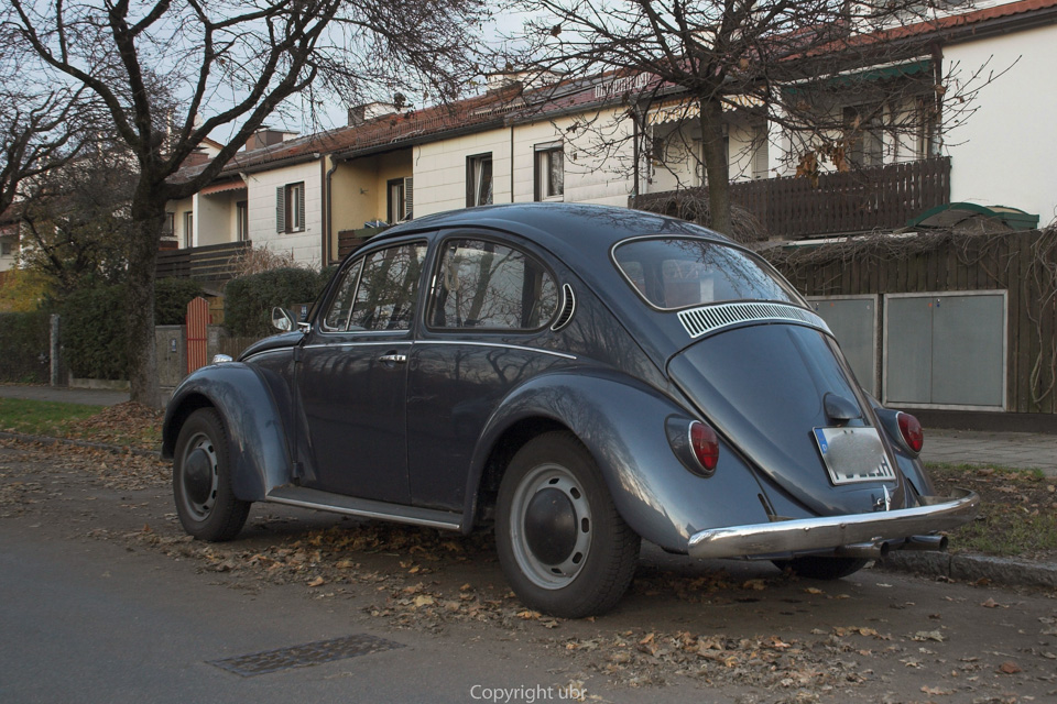 vw_kaefer_in_muenchen