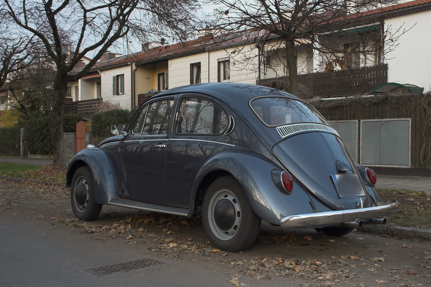 vw_kaefer_in_muenchen