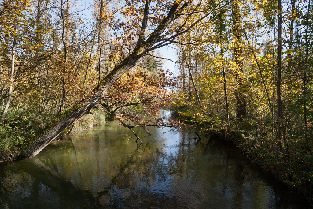 Spaziergang durch das Naturschutzgebiet 'Isarmünde' bei Plattling