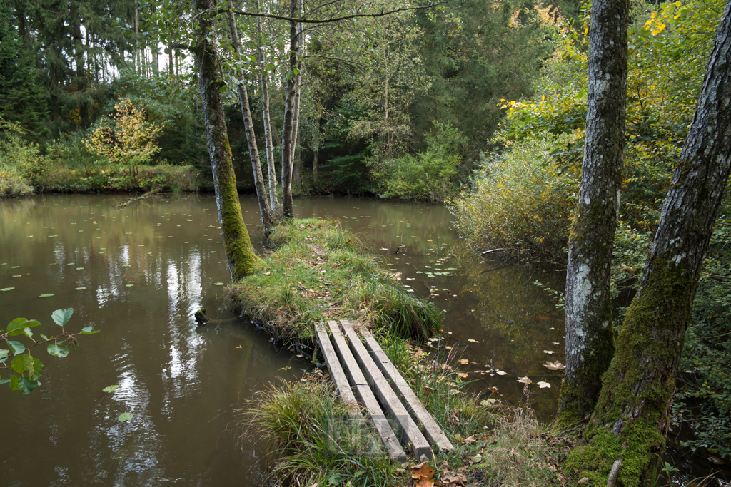 Ein Tümpel oder 'Weiher'