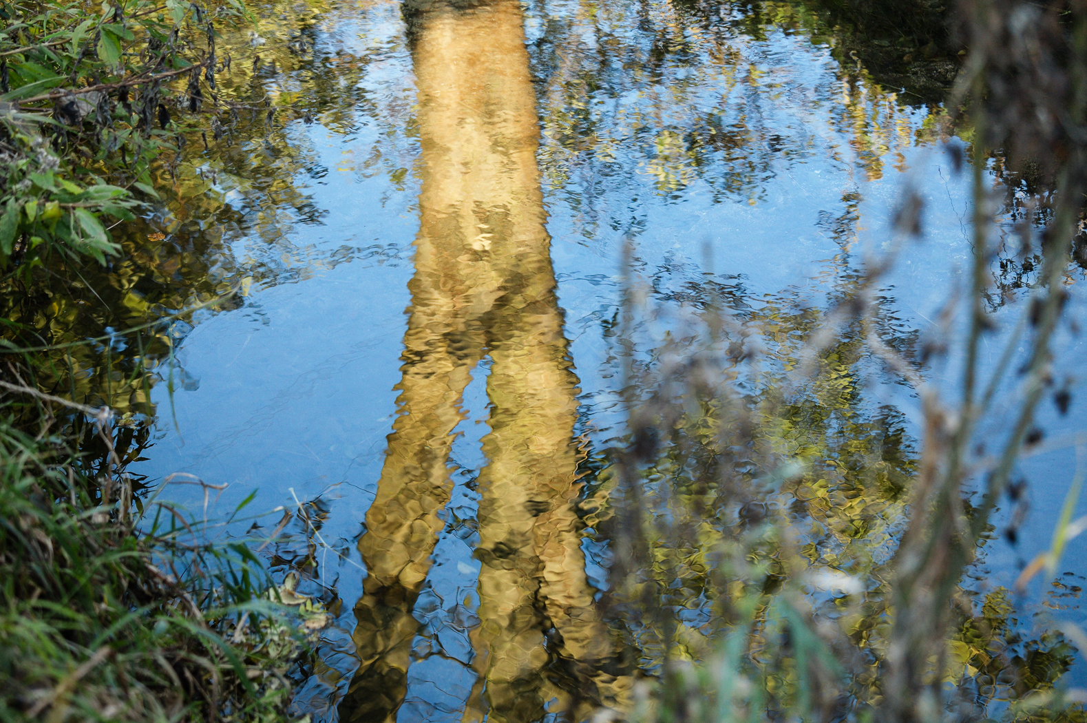 spiegelung_herbst_2012_2