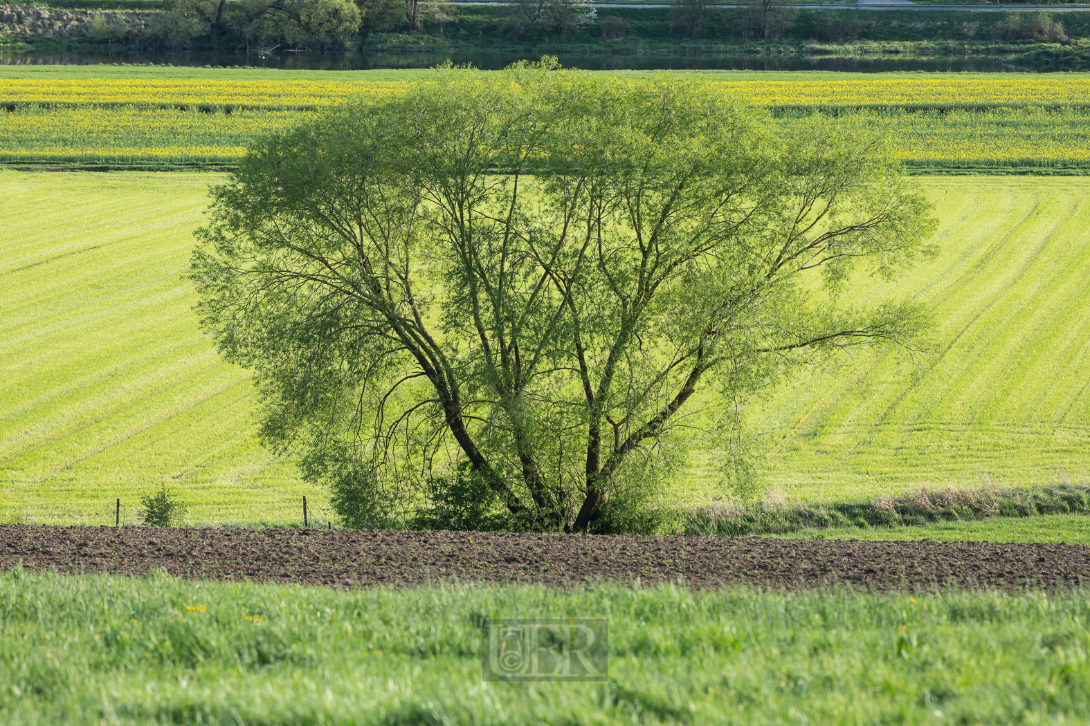 200 mm  1/800 Sek. bei f / 5,6