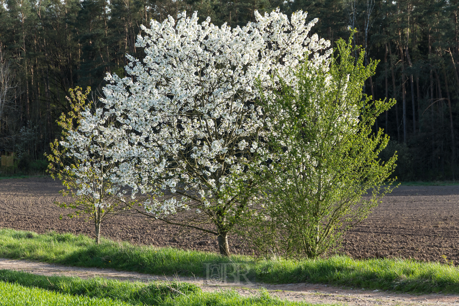 105 mm  1/400 Sek. bei f / 5,6