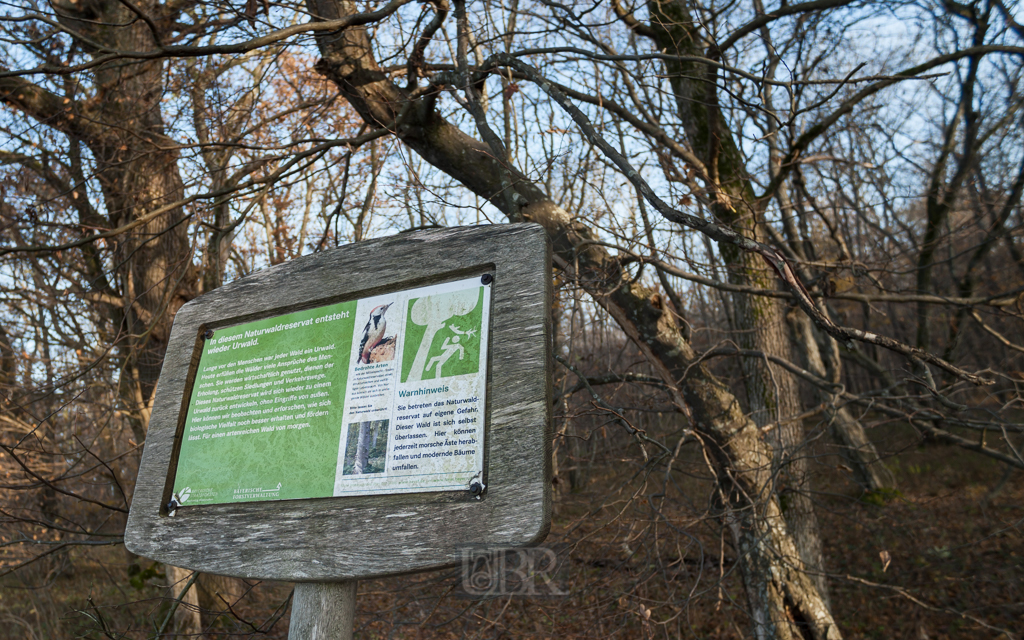 echinger_lohe_urwald_schild