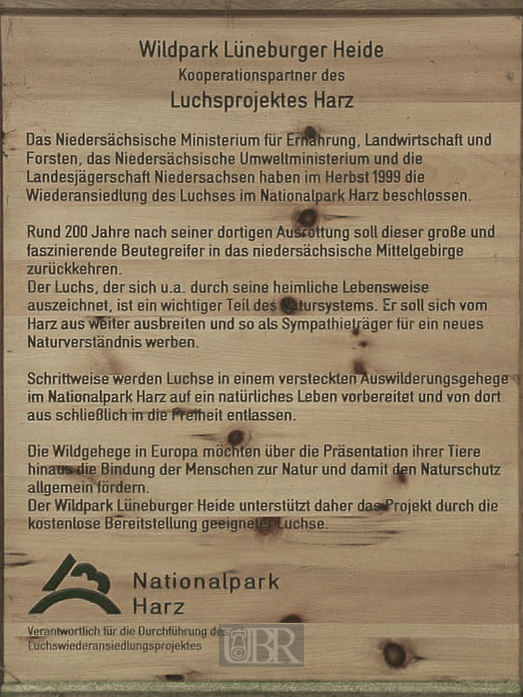 luchsprojekt_harz