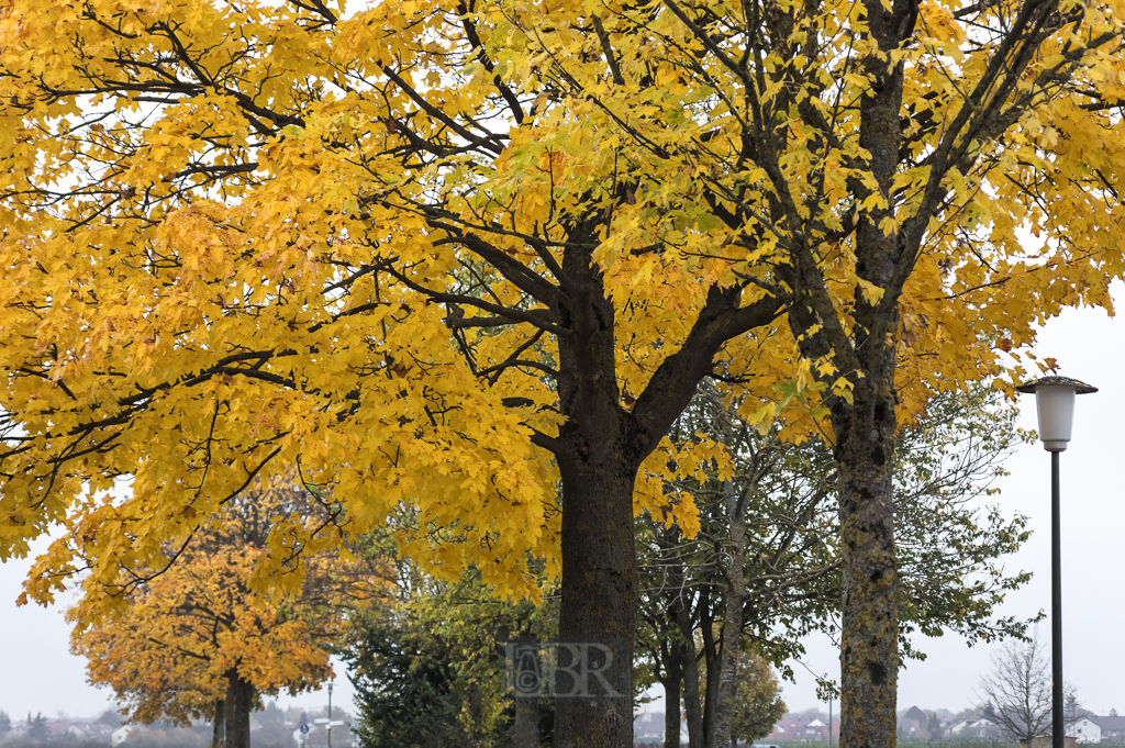 01_herbst15_01
