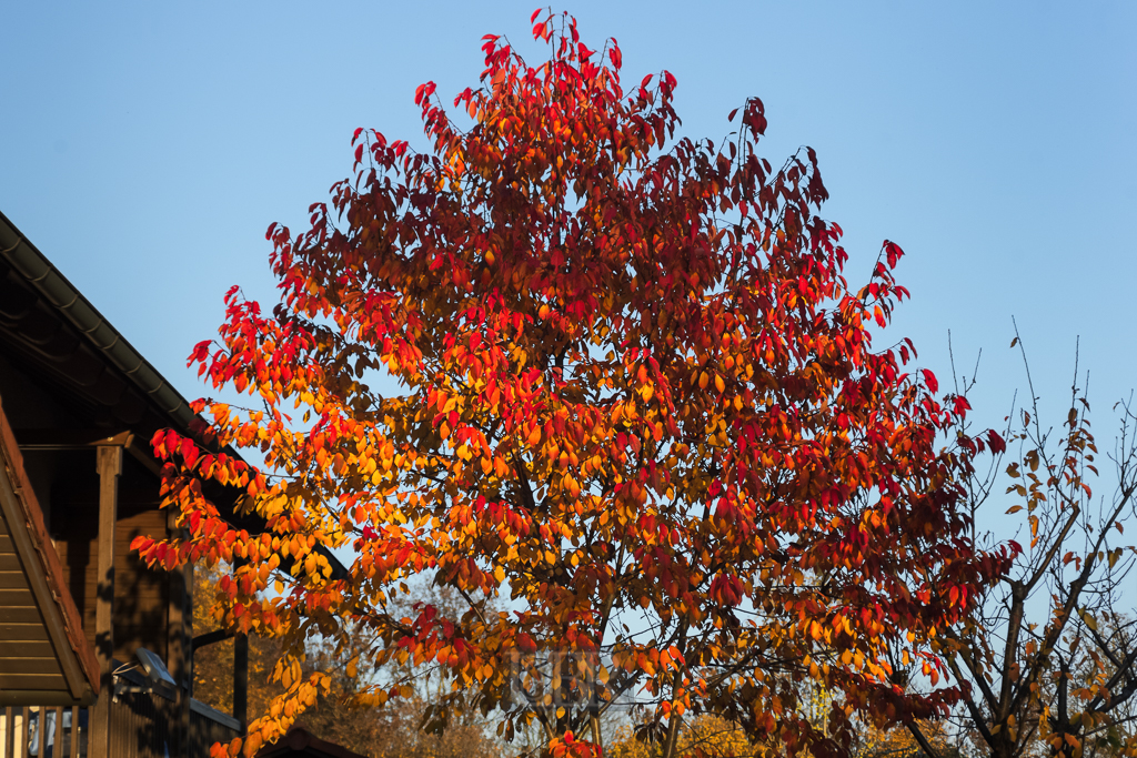 01_herbst15_04