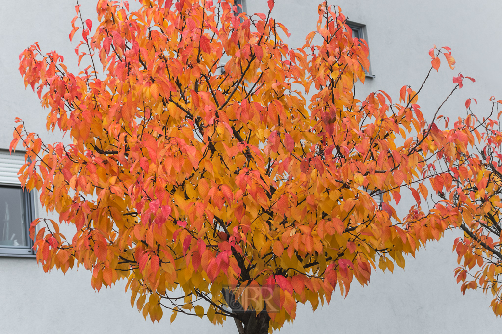 01_herbst15_05