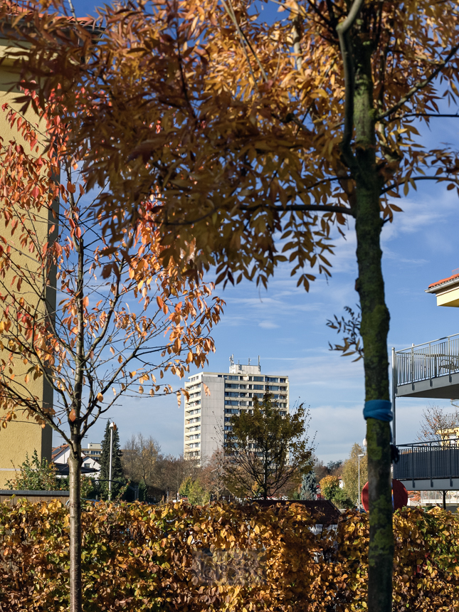 herbst_farben_in_neufahrn
