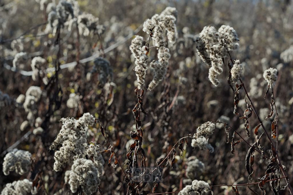 05_herbst15_02