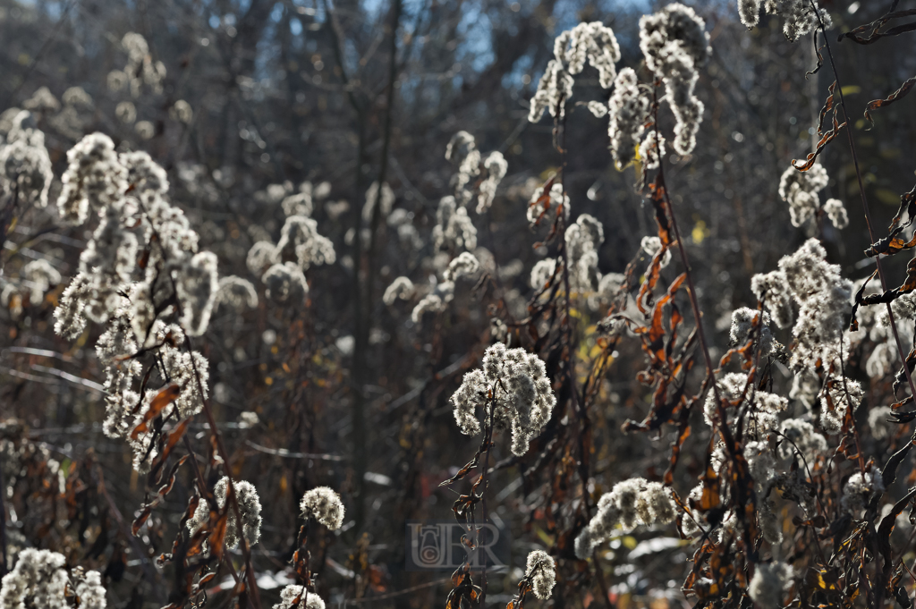05_herbst15_03
