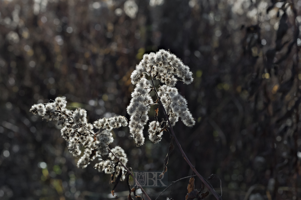 05_herbst15_05
