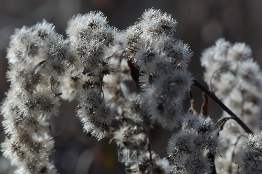 05_herbst15_06