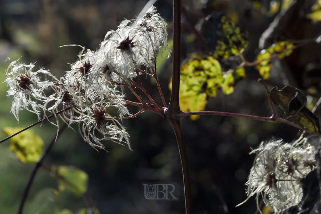 05_herbst15_07