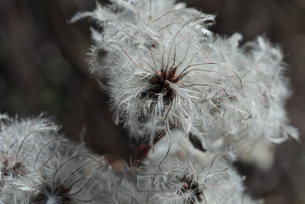 05_herbst15_08