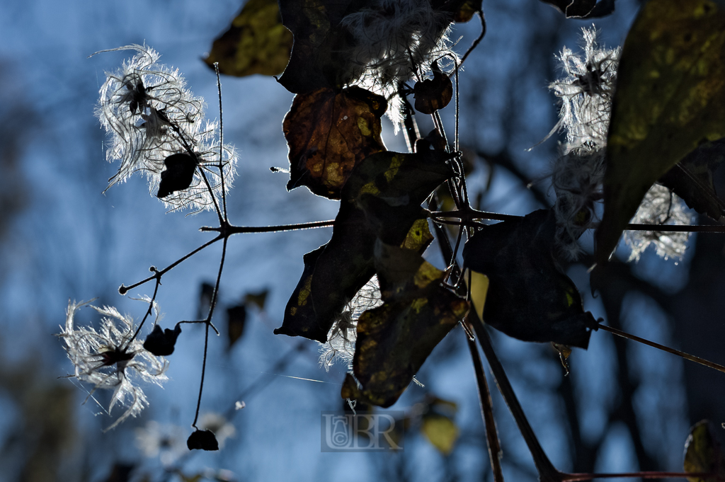 05_herbst15_09