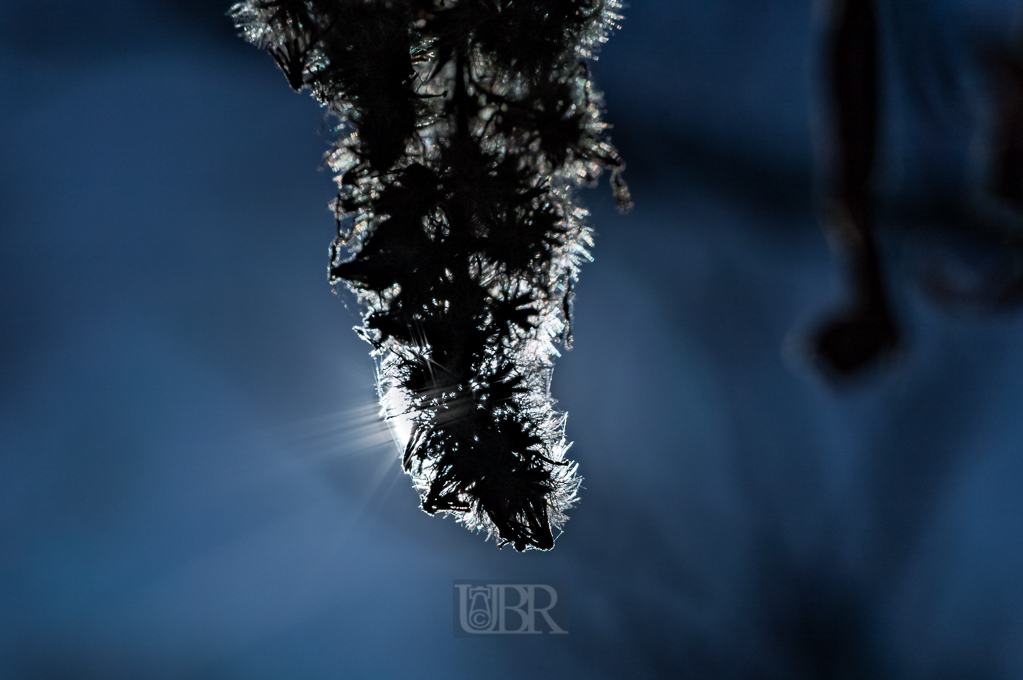 05_herbst15_10
