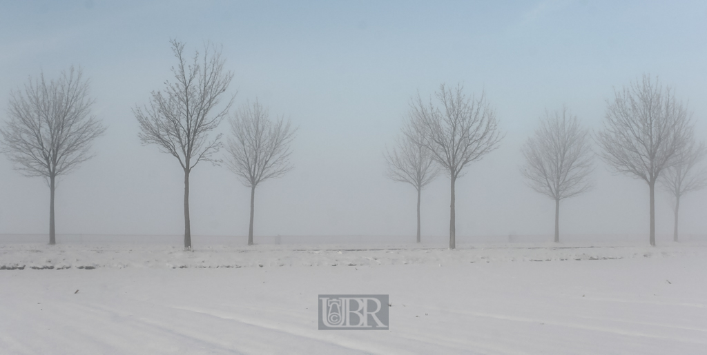 allee_im_morgennebel_21