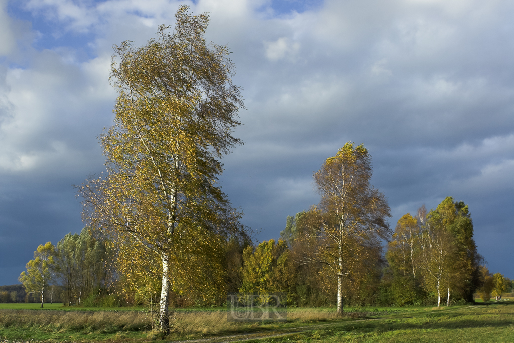 allerheiligen_2006_01