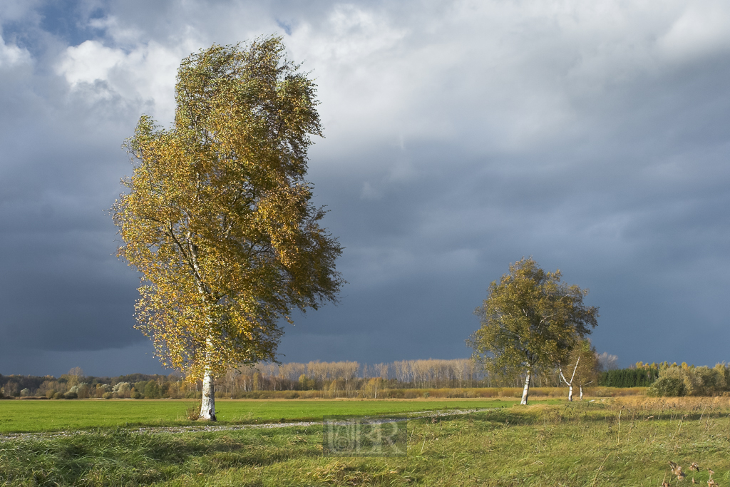 allerheiligen_2006_02