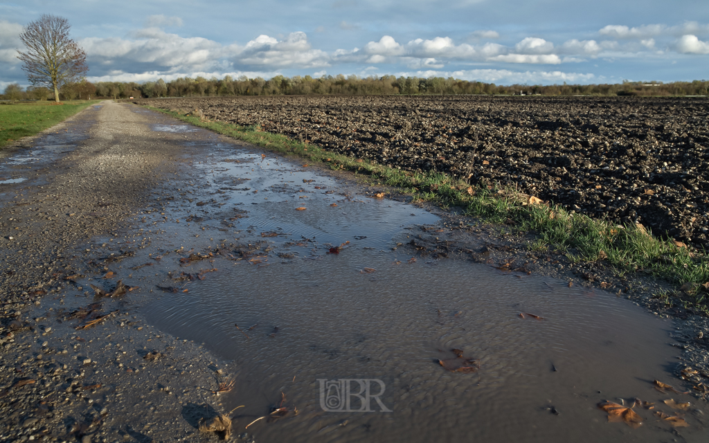 herbst_wind_pfuetze_01