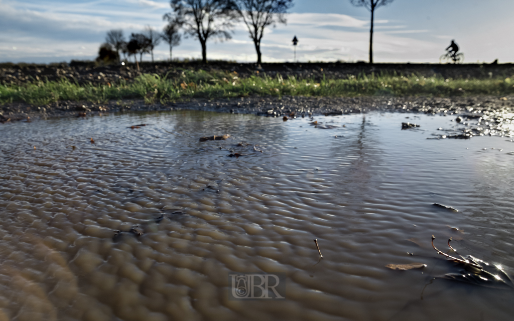 herbst_wind_pfuetze_03