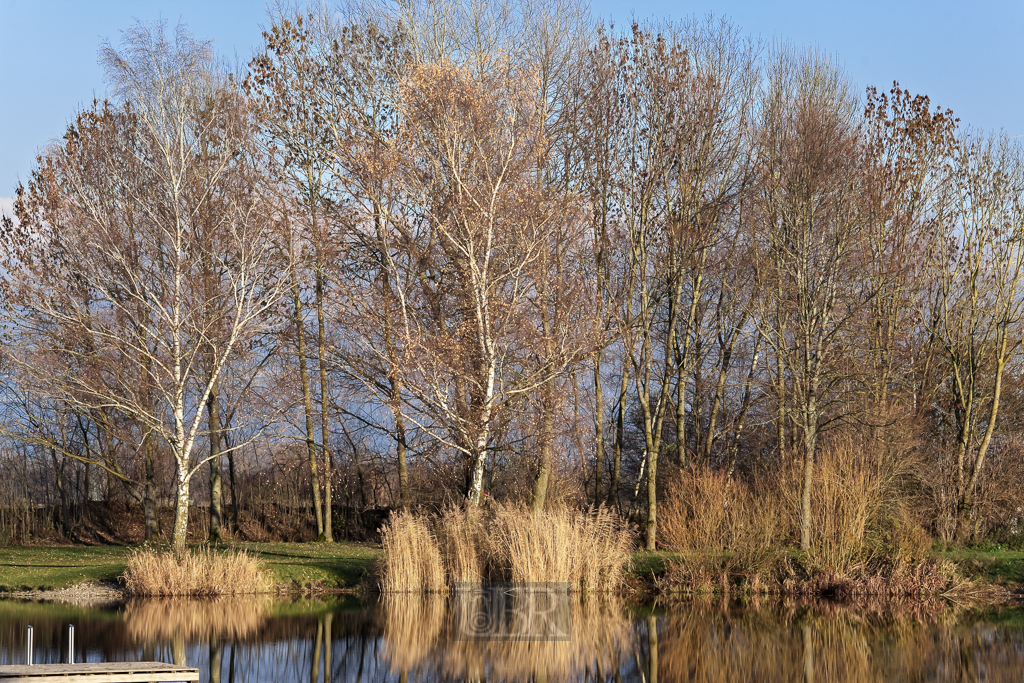 wasserspiegel_eicherloh_204