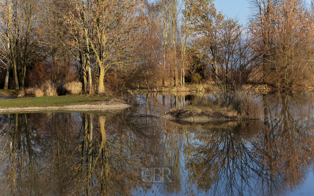 wasserspiegel_eicherloh_206