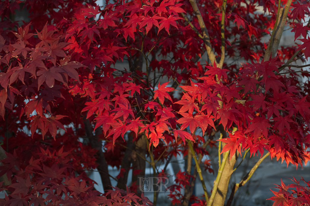 01_herbst15_12