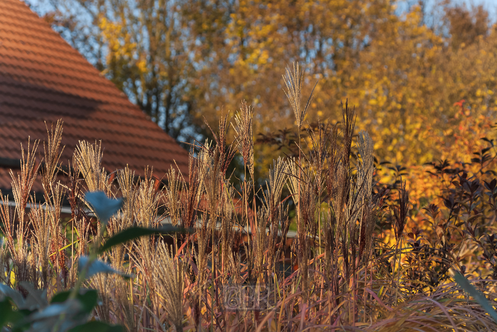 01_herbst15_13