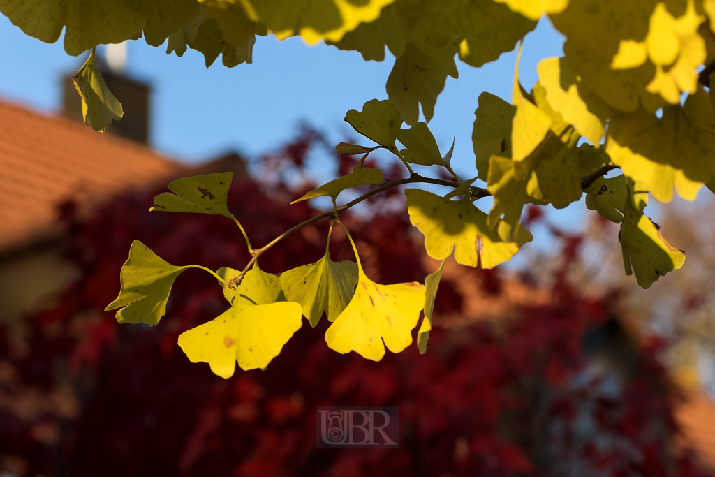 02_herbst15_01
