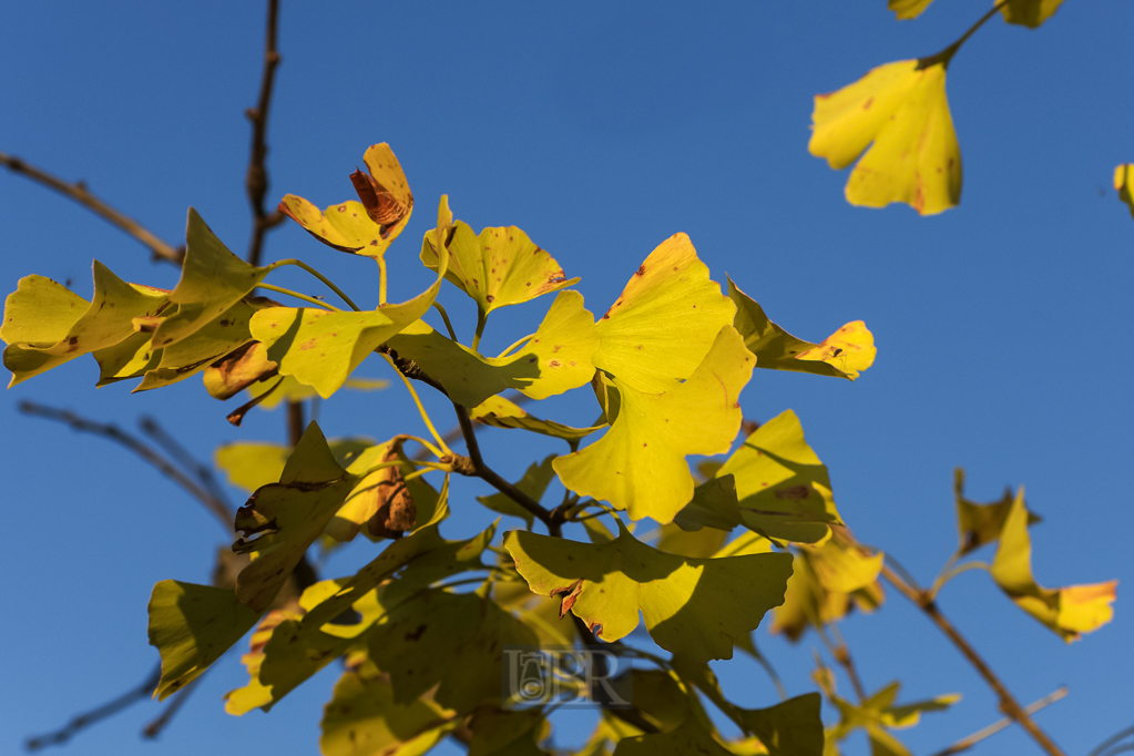 02_herbst15_02