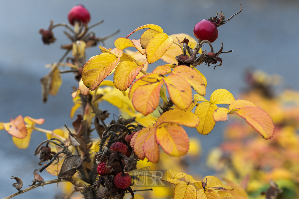 02_herbst15_03