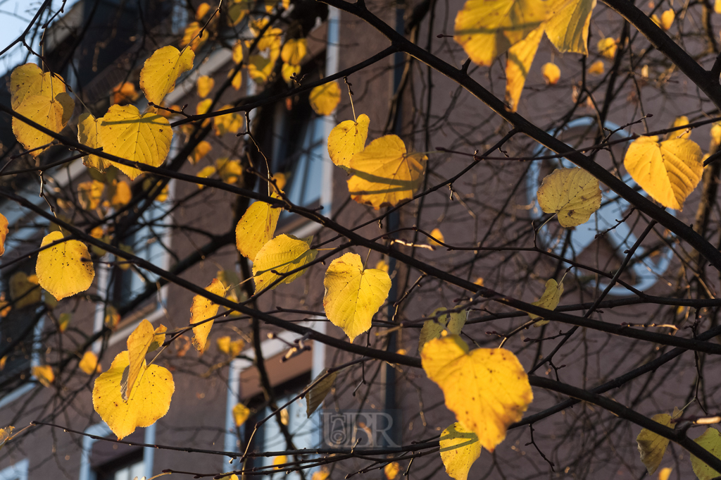 02_herbst15_05