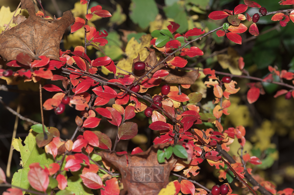 02_herbst15_06