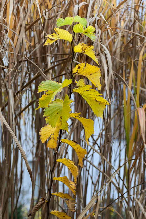02_herbst15_07