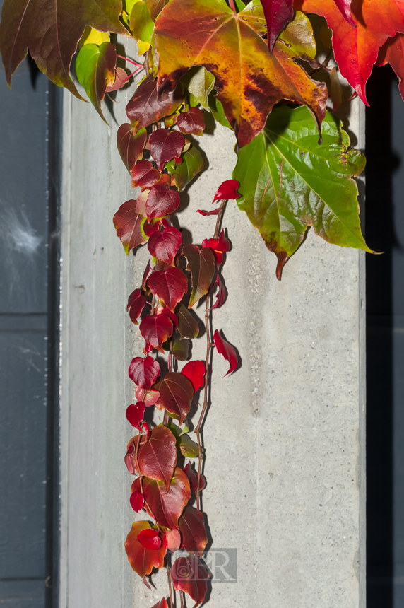 02_herbst15_09