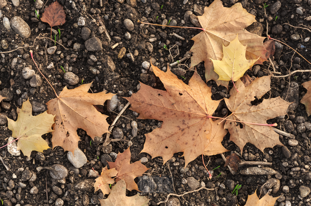 04_herbst15_03