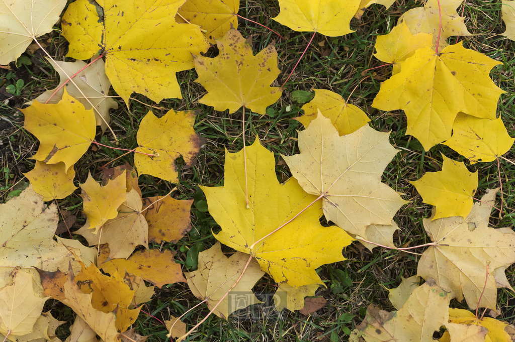 04_herbst15_04