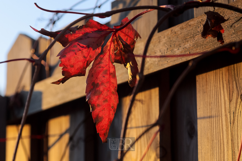 04_herbst15_10