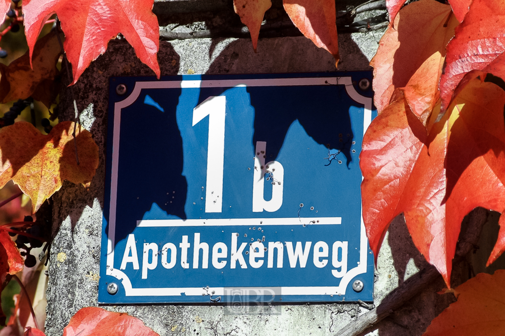 wein_rathaus_in_herbstsonne_11