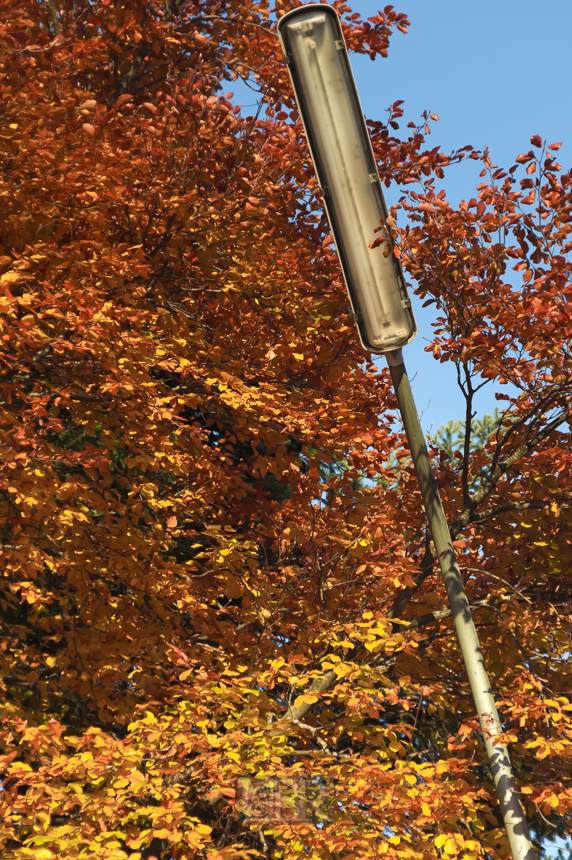 01_herbst15_09